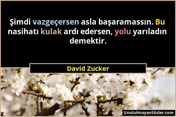 David Zucker - Şimdi vazgeçersen asla başaramassın. Bu nasihatı kulak ardı edersen, yolu yarıladın demektir....