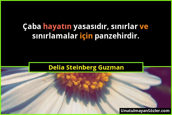 Delia Steinberg Guzman - Çaba hayatın yasasıdır, sınırlar ve sınırlamalar için panzehirdir....