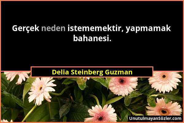 Delia Steinberg Guzman - Gerçek neden istememektir, yapmamak bahanesi....