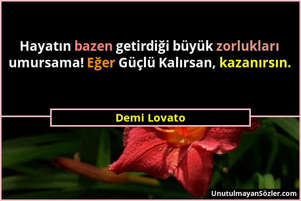 Demi Lovato - Hayatın bazen getirdiği büyük zorlukları umursama! Eğer Güçlü Kalırsan, kazanırsın....