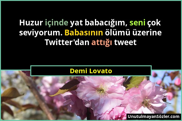 Demi Lovato - Huzur içinde yat babacığım, seni çok seviyorum. Babasının ölümü üzerine Twitter'dan attığı tweet...