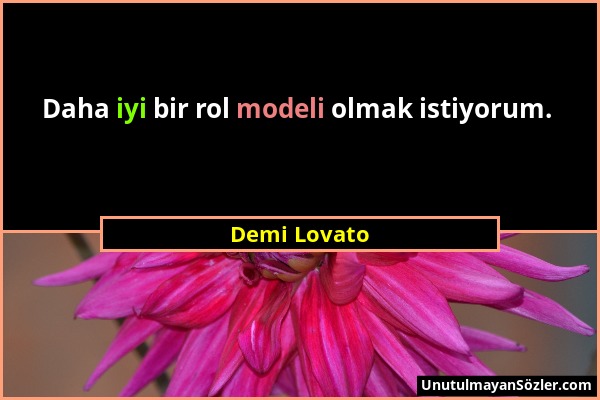 Demi Lovato - Daha iyi bir rol modeli olmak istiyorum....