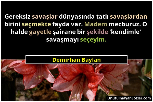 Demirhan Baylan - Gereksiz savaşlar dünyasında tatlı savaşlardan birini seçmekte fayda var. Madem mecburuz. O halde gayetle şairane bir şekilde 'kendi...