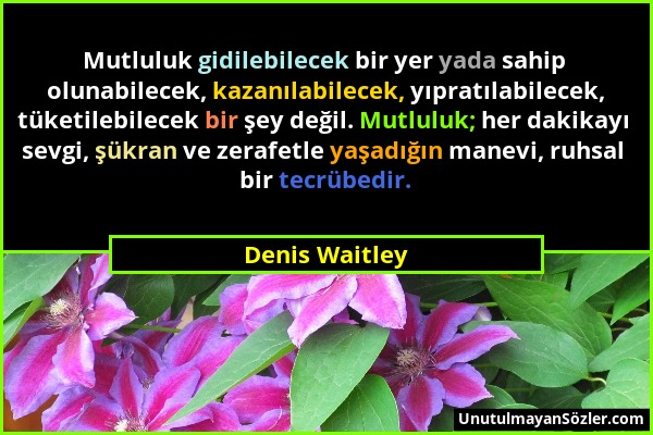 Denis Waitley - Mutluluk gidilebilecek bir yer yada sahip olunabilecek, kazanılabilecek, yıpratılabilecek, tüketilebilecek bir şey değil. Mutluluk; he...