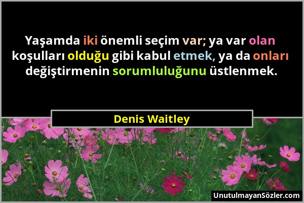 Denis Waitley - Yaşamda iki önemli seçim var; ya var olan koşulları olduğu gibi kabul etmek, ya da onları değiştirmenin sorumluluğunu üstlenmek....