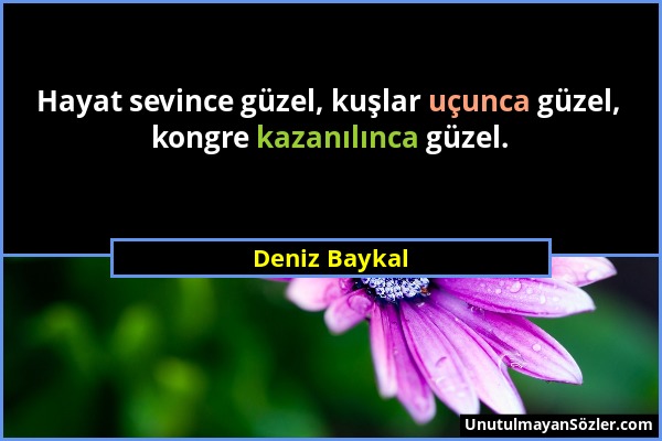 Deniz Baykal - Hayat sevince güzel, kuşlar uçunca güzel, kongre kazanılınca güzel....