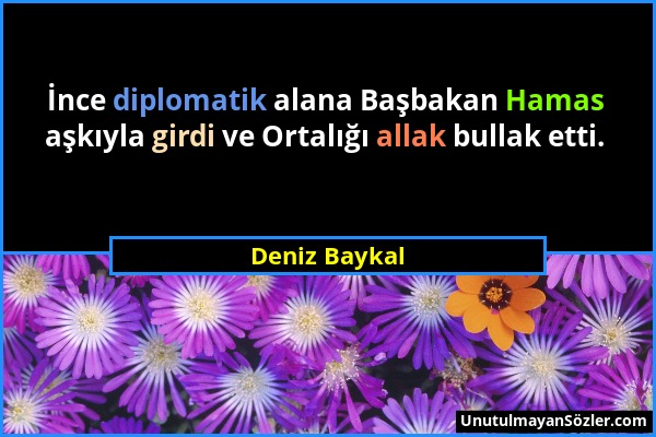 Deniz Baykal - İnce diplomatik alana Başbakan Hamas aşkıyla girdi ve Ortalığı allak bullak etti....