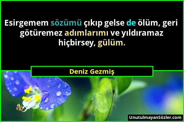 Deniz Gezmiş - Esirgemem sözümü çıkıp gelse de ölüm, geri götüremez adımlarımı ve yıldıramaz hiçbirsey, gülüm....