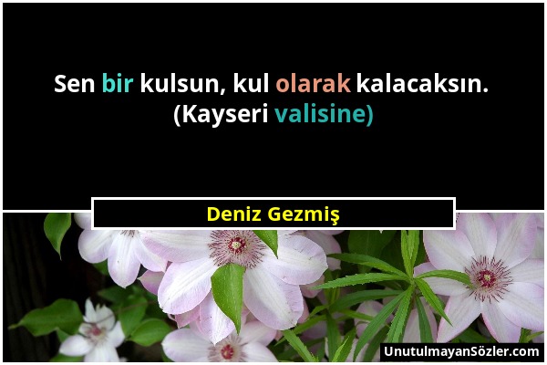 Deniz Gezmiş - Sen bir kulsun, kul olarak kalacaksın. (Kayseri valisine)...