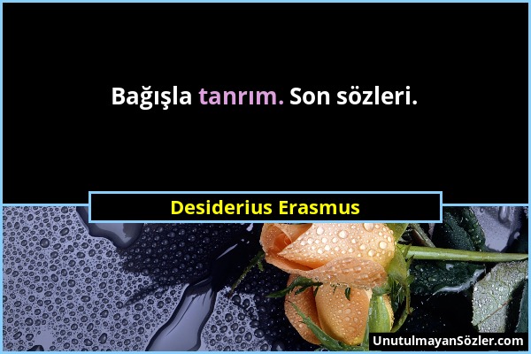 Desiderius Erasmus - Bağışla tanrım. Son sözleri....