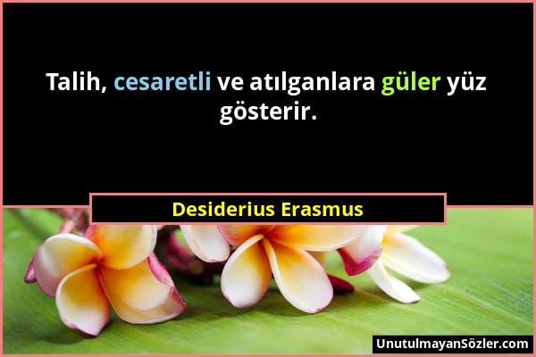 Desiderius Erasmus - Talih, cesaretli ve atılganlara güler yüz gösterir....