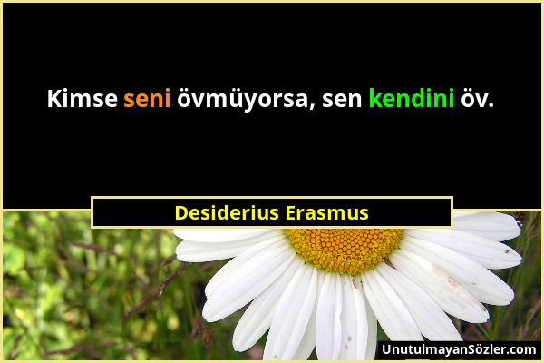 Desiderius Erasmus - Kimse seni övmüyorsa, sen kendini öv....