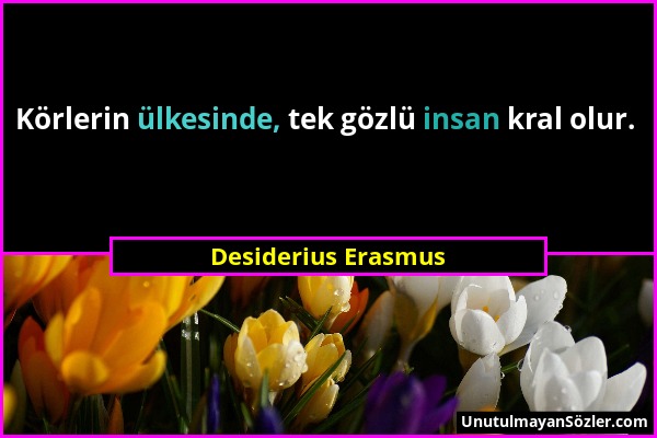 Desiderius Erasmus - Körlerin ülkesinde, tek gözlü insan kral olur....