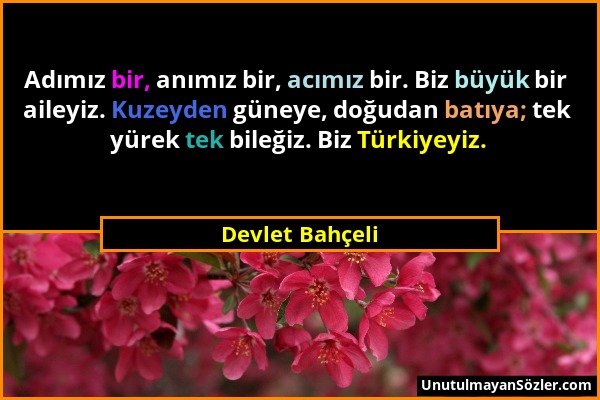 Devlet Bahçeli - Adımız bir, anımız bir, acımız bir. Biz büyük bir aileyiz. Kuzeyden güneye, doğudan batıya; tek yürek tek bileğiz. Biz Türkiyeyiz....