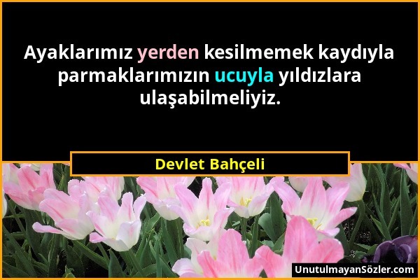 Devlet Bahçeli - Ayaklarımız yerden kesilmemek kaydıyla parmaklarımızın ucuyla yıldızlara ulaşabilmeliyiz....