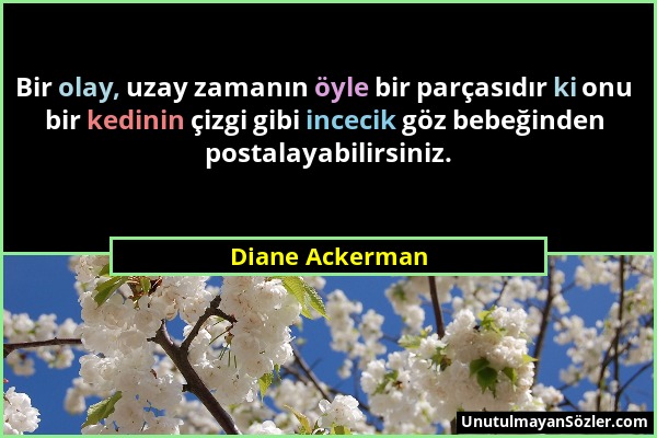 Diane Ackerman - Bir olay, uzay zamanın öyle bir parçasıdır ki onu bir kedinin çizgi gibi incecik göz bebeğinden postalayabilirsiniz....