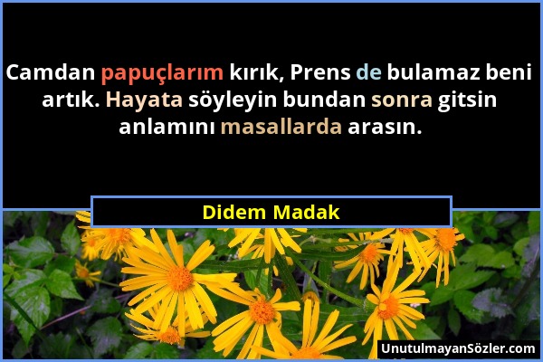 Didem Madak - Camdan papuçlarım kırık, Prens de bulamaz beni artık. Hayata söyleyin bundan sonra gitsin anlamını masallarda arasın....