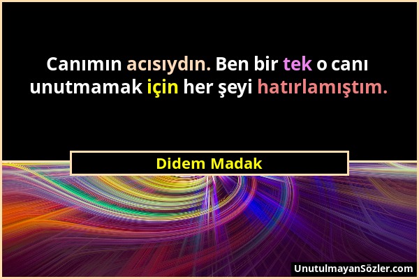 Didem Madak - Canımın acısıydın. Ben bir tek o canı unutmamak için her şeyi hatırlamıştım....