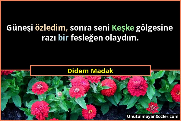 Didem Madak - Güneşi özledim, sonra seni Keşke gölgesine razı bir fesleğen olaydım....