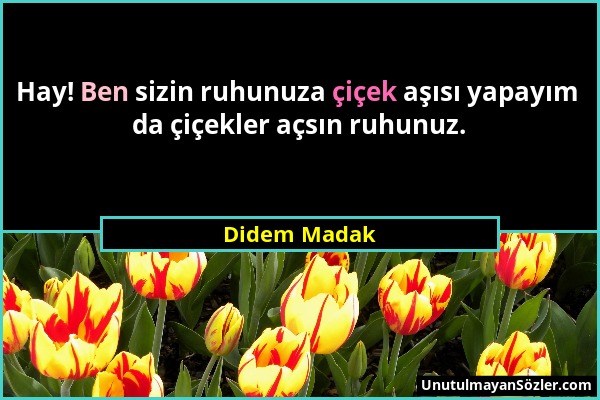 Didem Madak - Hay! Ben sizin ruhunuza çiçek aşısı yapayım da çiçekler açsın ruhunuz....