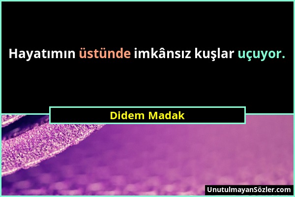 Didem Madak - Hayatımın üstünde imkânsız kuşlar uçuyor....