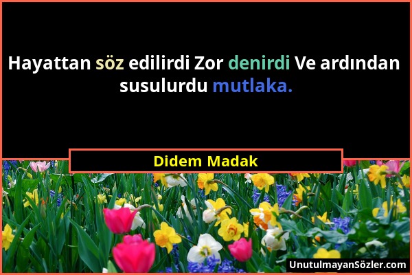 Didem Madak - Hayattan söz edilirdi Zor denirdi Ve ardından susulurdu mutlaka....