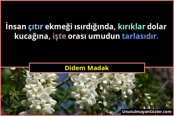 Didem Madak - İnsan çıtır ekmeği ısırdığında, kırıklar dolar kucağına, işte orası umudun tarlasıdır....