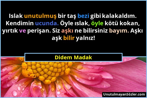 Didem Madak - Islak unutulmuş bir taş bezi gibi kalakaldım. Kendimin ucunda. Öyle ıslak, öyle kötü kokan, yırtık ve perişan. Siz aşkı ne bilirsiniz ba...