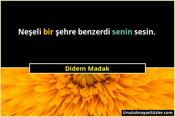 Didem Madak - Neşeli bir şehre benzerdi senin sesin....