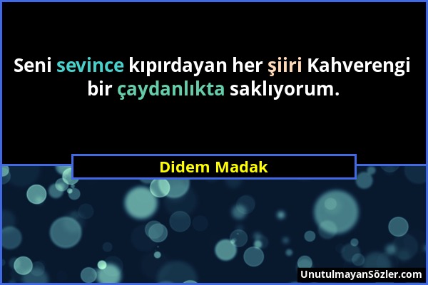 Didem Madak - Seni sevince kıpırdayan her şiiri Kahverengi bir çaydanlıkta saklıyorum....