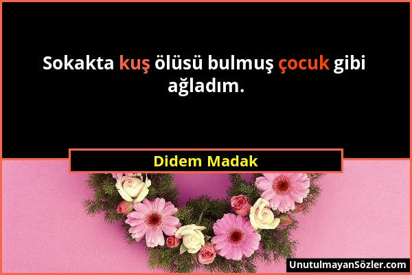 Didem Madak - Sokakta kuş ölüsü bulmuş çocuk gibi ağladım....