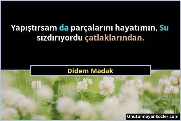 Didem Madak - Yapıştırsam da parçalarını hayatımın, Su sızdırıyordu çatlaklarından....