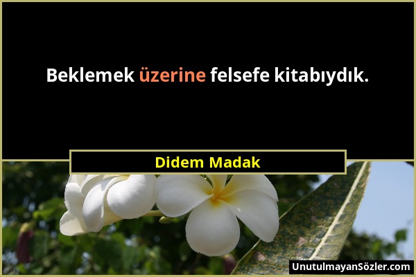 Didem Madak - Beklemek üzerine felsefe kitabıydık....