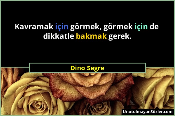 Dino Segre - Kavramak için görmek, görmek için de dikkatle bakmak gerek....