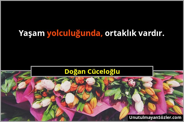 Doğan Cüceloğlu - Yaşam yolculuğunda, ortaklık vardır....