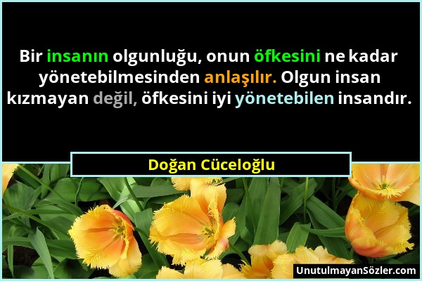 Doğan Cüceloğlu - Bir insanın olgunluğu, onun öfkesini ne kadar yönetebilmesinden anlaşılır. Olgun insan kızmayan değil, öfkesini iyi yönetebilen insa...