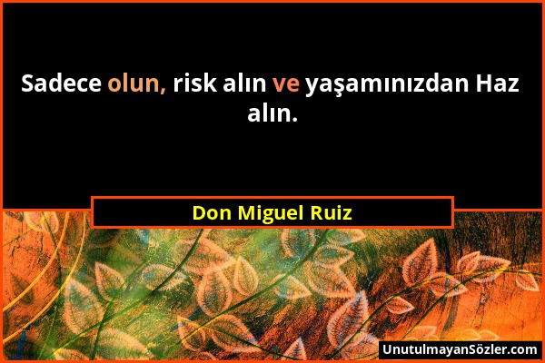 Don Miguel Ruiz - Sadece olun, risk alın ve yaşamınızdan Haz alın....