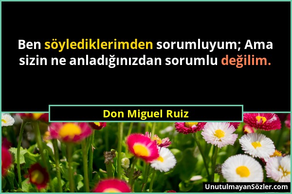 Don Miguel Ruiz - Ben söylediklerimden sorumluyum; Ama sizin ne anladığınızdan sorumlu değilim....