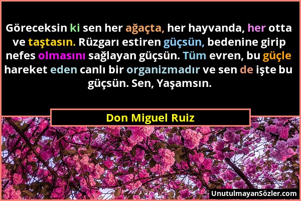 Don Miguel Ruiz - Göreceksin ki sen her ağaçta, her hayvanda, her otta ve taştasın. Rüzgarı estiren güçsün, bedenine girip nefes olmasını sağlayan güç...