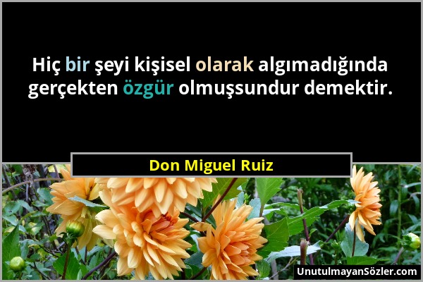 Don Miguel Ruiz - Hiç bir şeyi kişisel olarak algımadığında gerçekten özgür olmuşsundur demektir....