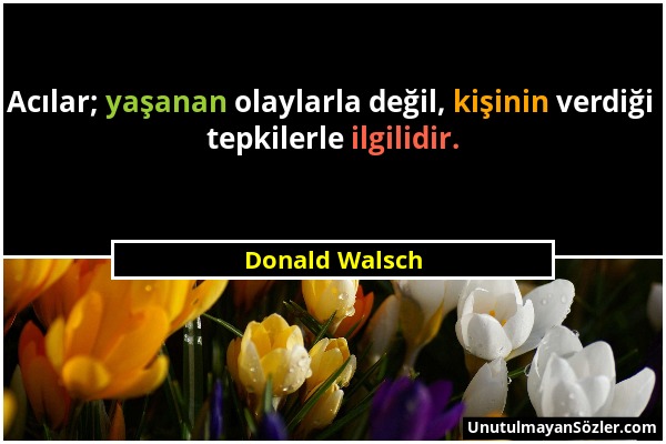 Donald Walsch - Acılar; yaşanan olaylarla değil, kişinin verdiği tepkilerle ilgilidir....