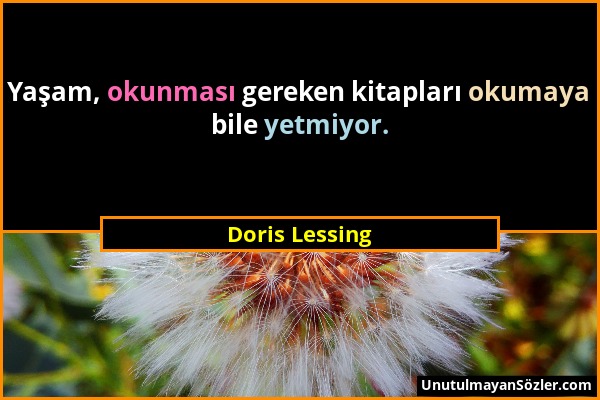 Doris Lessing - Yaşam, okunması gereken kitapları okumaya bile yetmiyor....