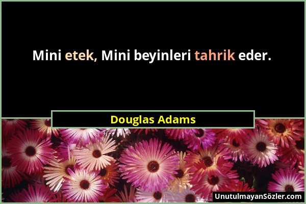 Douglas Adams - Mini etek, Mini beyinleri tahrik eder....
