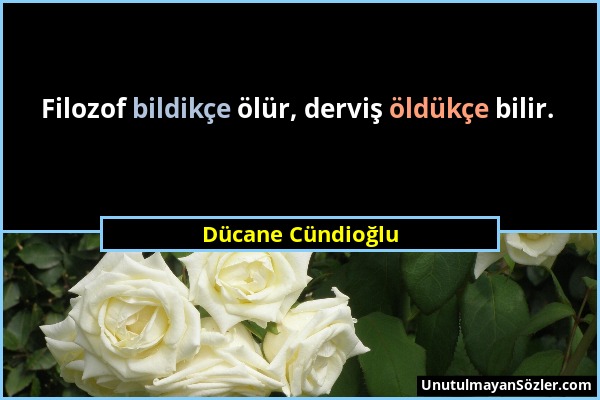 Dücane Cündioğlu - Filozof bildikçe ölür, derviş öldükçe bilir....