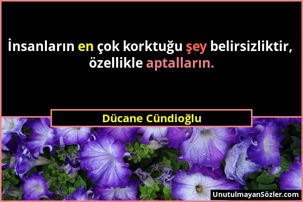 Dücane Cündioğlu - İnsanların en çok korktuğu şey belirsizliktir, özellikle aptalların....