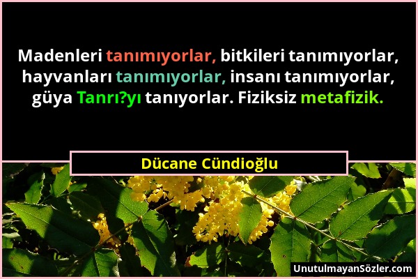 Dücane Cündioğlu - Madenleri tanımıyorlar, bitkileri tanımıyorlar, hayvanları tanımıyorlar, insanı tanımıyorlar, güya Tanrı?yı tanıyorlar. Fiziksiz me...