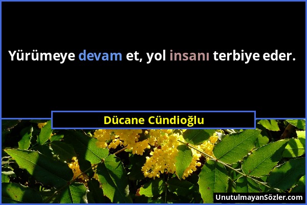 Dücane Cündioğlu - Yürümeye devam et, yol insanı terbiye eder....