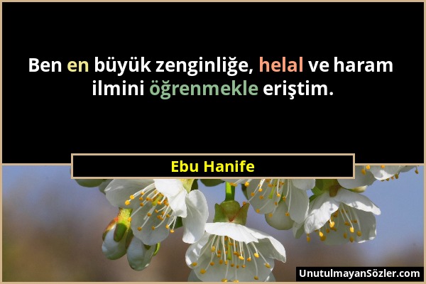 Ebu Hanife - Ben en büyük zenginliğe, helal ve haram ilmini öğrenmekle eriştim....