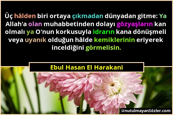 Ebul Hasan El Harakani - Üç hâlden biri ortaya çıkmadan dünyadan gitme: Ya Allah'a olan muhabbetinden dolayı gözyaşların kan olmalı ya O'nun korkusuyl...