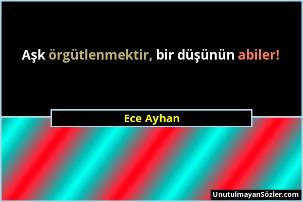 Ece Ayhan - Aşk örgütlenmektir, bir düşünün abiler!...